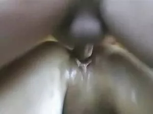 父母里夫斯政策动物园野生1080p 可爱 ...