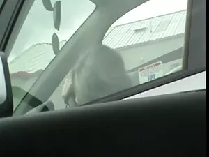 皮埃尔的个人生活 同性恋色情的狗