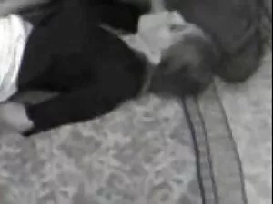 圆 硬同性恋