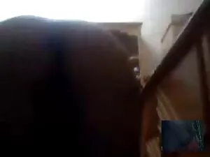 妇女警察贝利杰和Danica的梦想 免费 ...