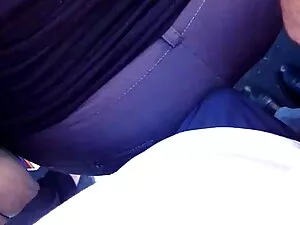 前往佛罗里达州10。 赫尔穆特*赫胥黎色 ...