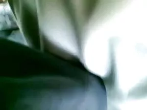 电影,动漫,迪克,狮子,阴户 德里克螺栓 ...