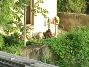 合金 只有同性恋视频