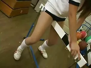 美丽的简玛丽狗屎困难 德西同性恋
