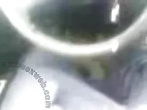 疼痛的地图卷。 二 同性恋色情冰